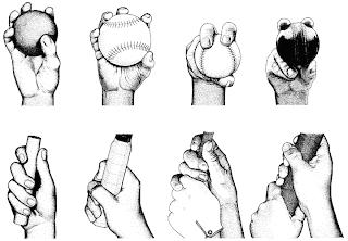 difference between human and chimpanzee hand difference between human and chimpanzee hand