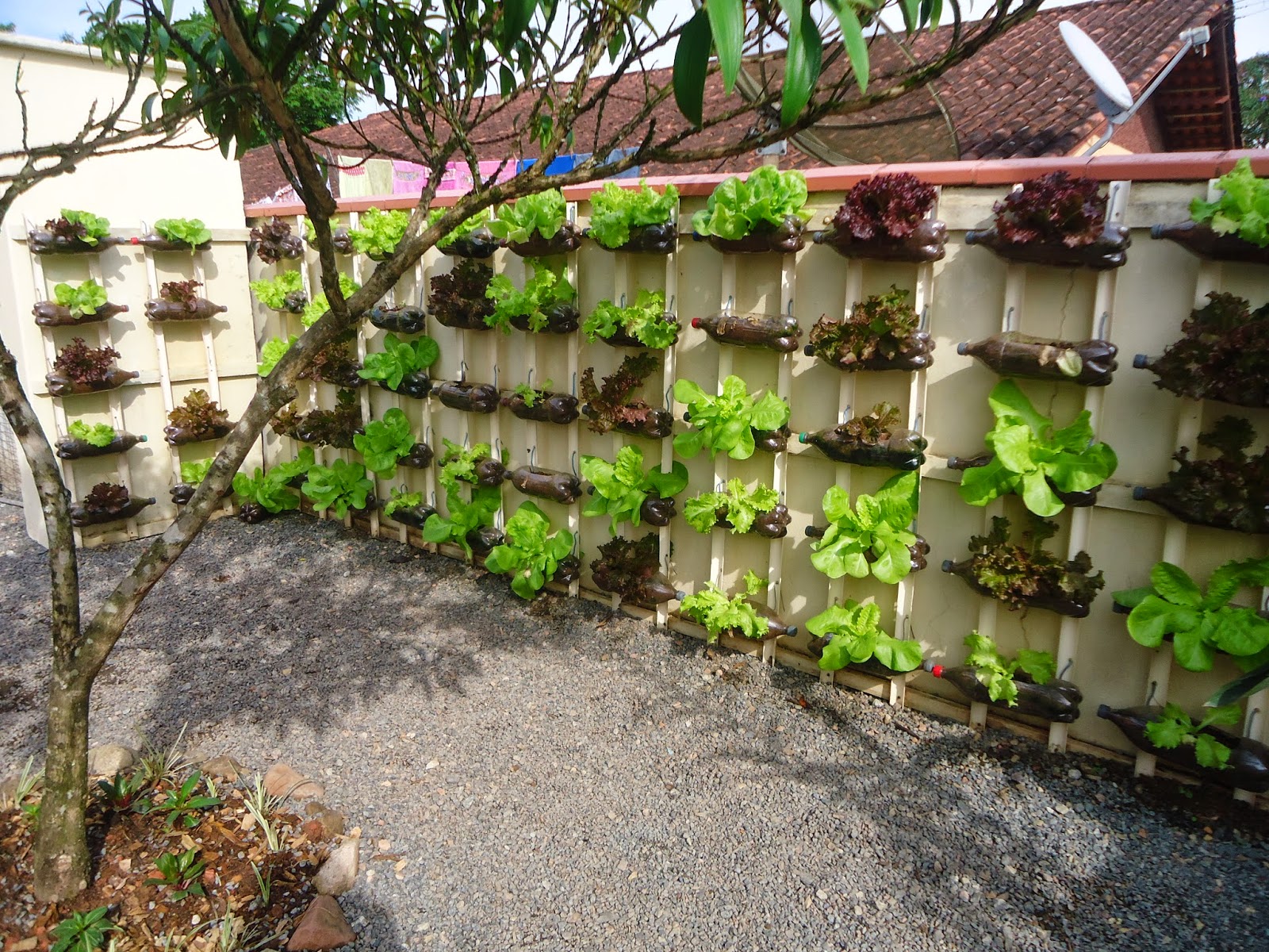 CANTINHO DA SANDRA PFEIFFER HORTA