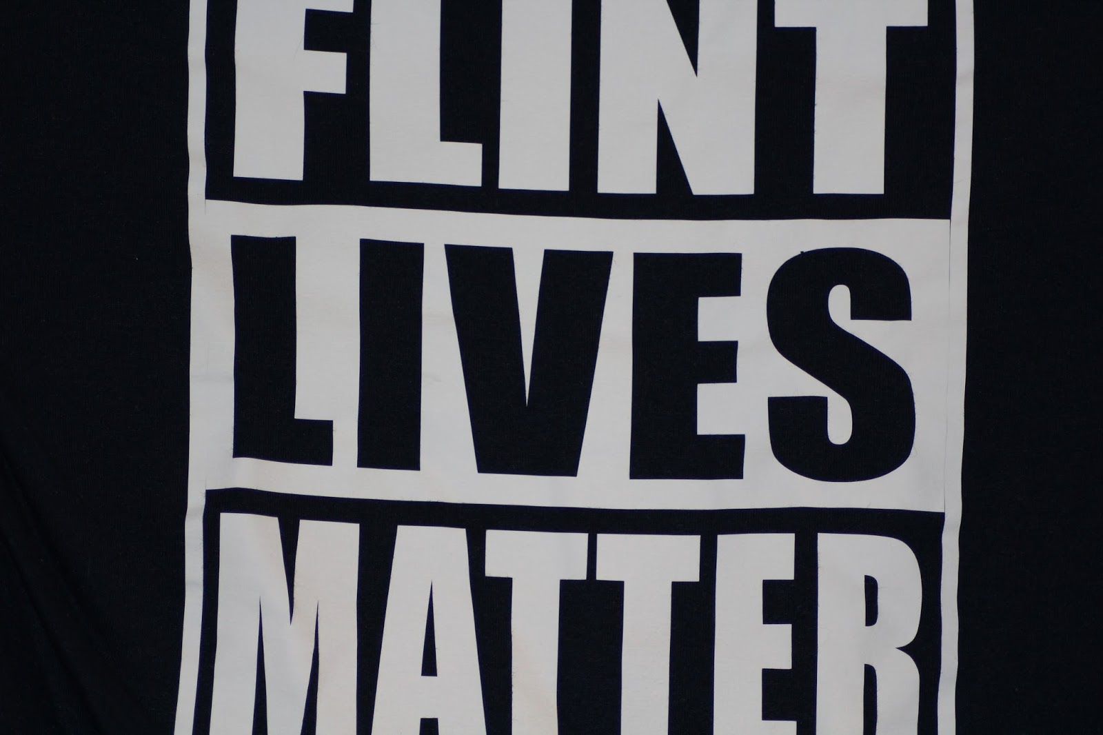 Purple Walrus Press On the Flint Water Crisis Flint Water Crisis
