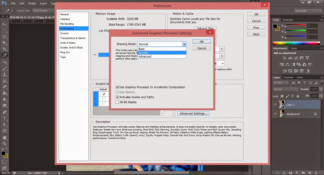GarasiSeni djdrestha Oil Paint Error in