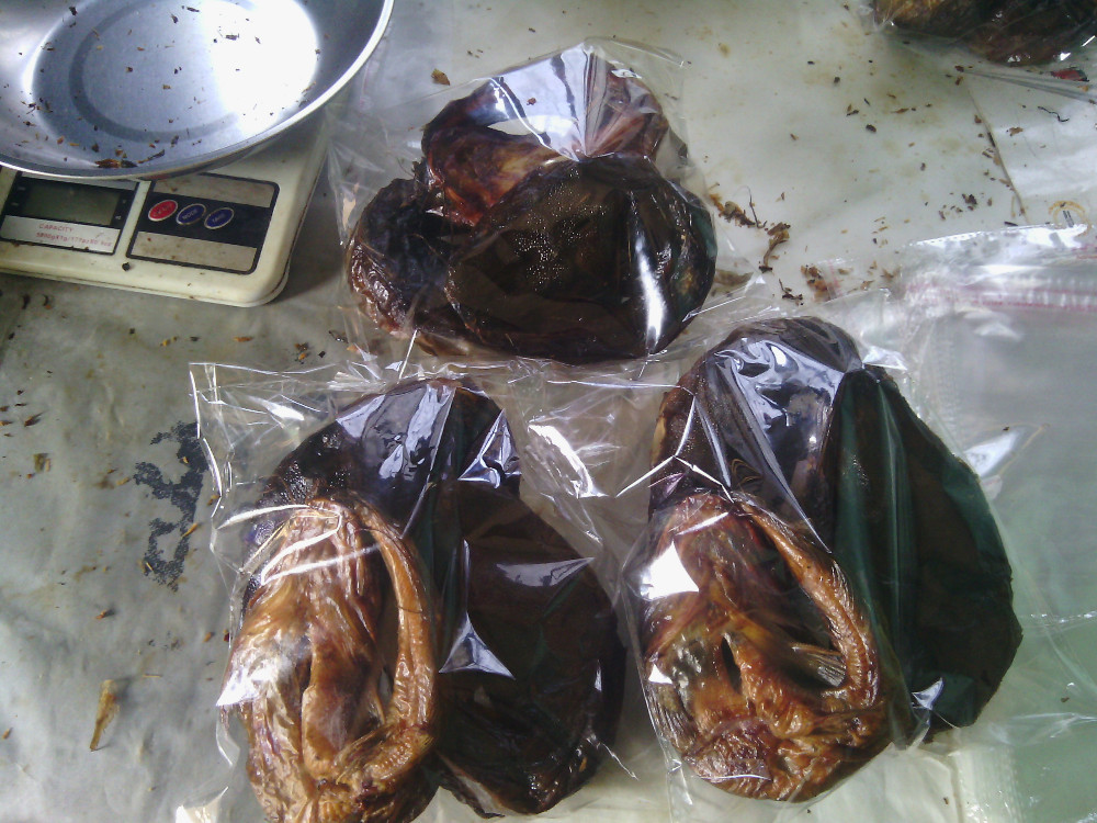 Smoked Catfish for Export Quality Created by the Best Supplier Dry