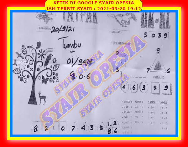 syair hongkong syair hongkong