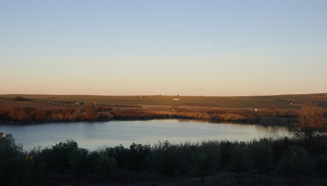 Vista Panorámica de la laguna del Rincón .