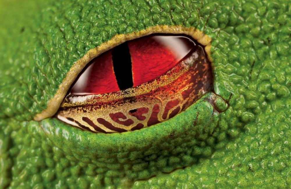 Increible: 14 Fotografías impactantes que no necesitaron de Photoshop