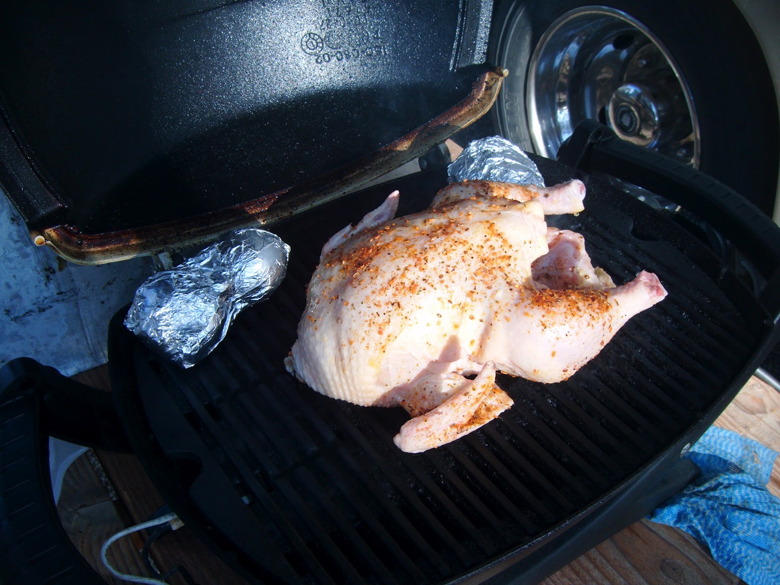 Our Awesome Travels Chicken on the er Q100