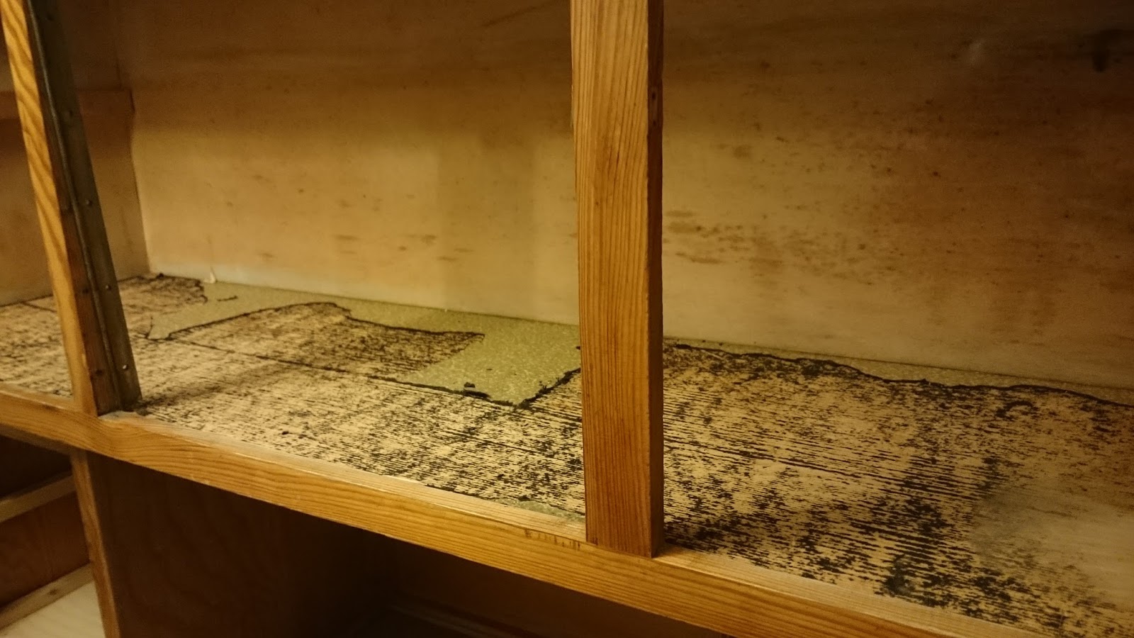 Stadtvilla in Elmenhorst: Projekt - Küchenvitrine