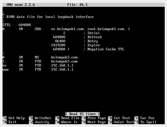 Loopback interface что это. Nano etc Network interfaces Debian DNS. Reverse bind file. Etc init