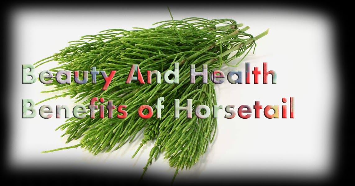 Beauty And Health Benefits of Horsetail Natural Remedies And Treatment