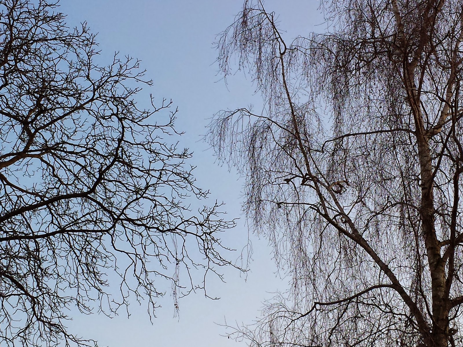 Der Tod Ist Nichts Charles Peguy