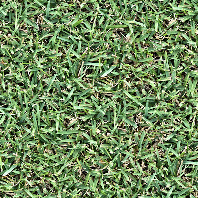 Seamless up close grass leaf blades texture