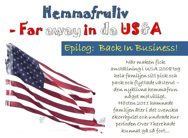 Hemmafruliv - Far away in da US&A