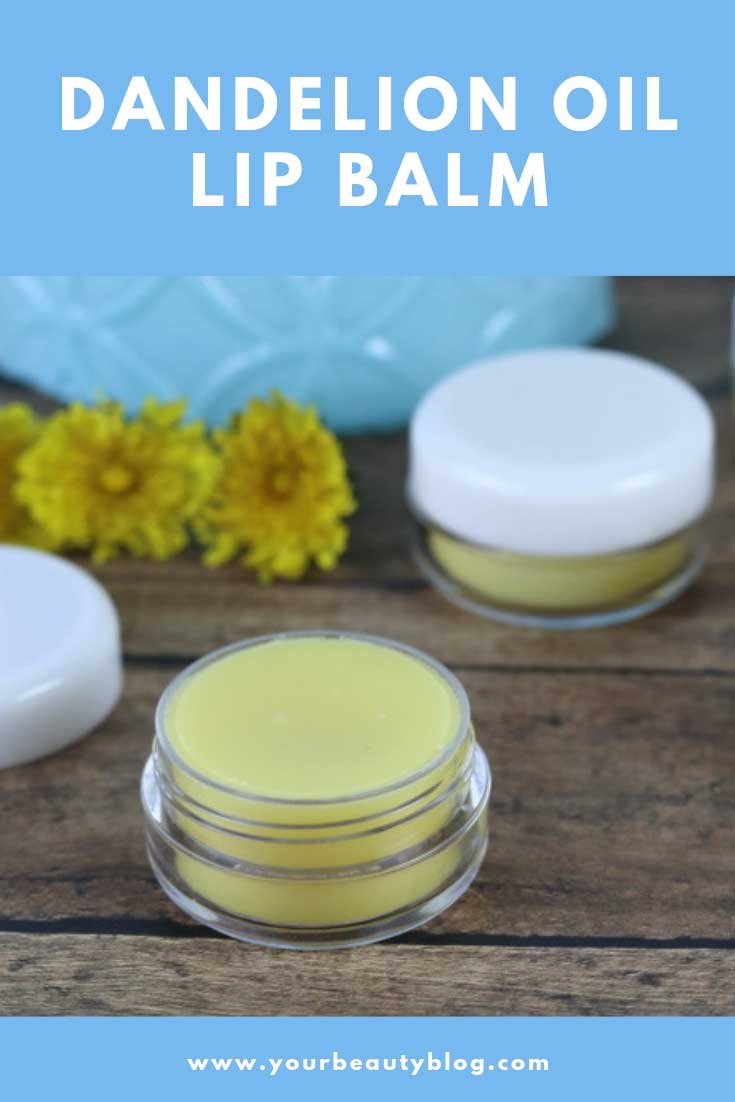 Dandelion Lip Balm Recipe for Dry or Chapped Lips Everything Pretty