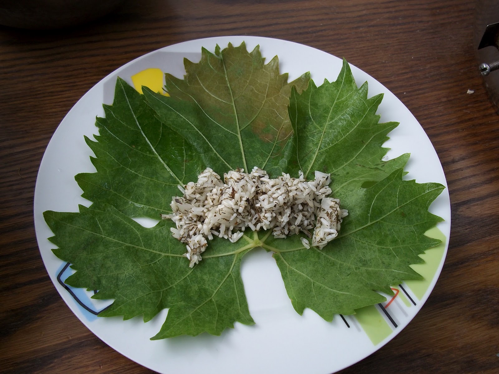 Armenian Stuffed Grape Leaves Recipe Frugal, Vegan Foraged Food
