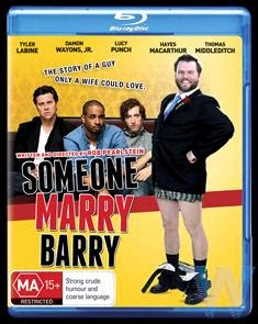 Someone Marry Barry 2014 BluRay 480p 300mb ESub