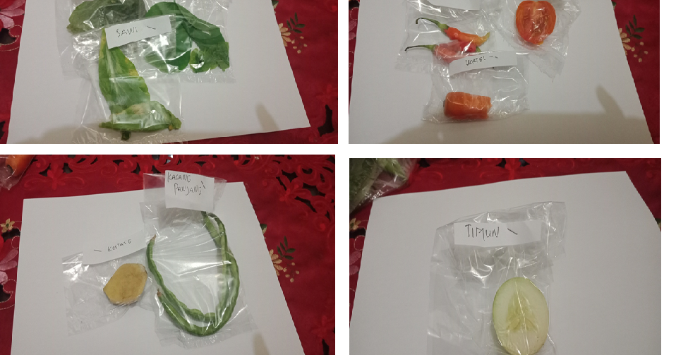 Praktikum Pengelompokan Sayuran Media Ilmu