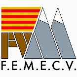 FEMECV 2010