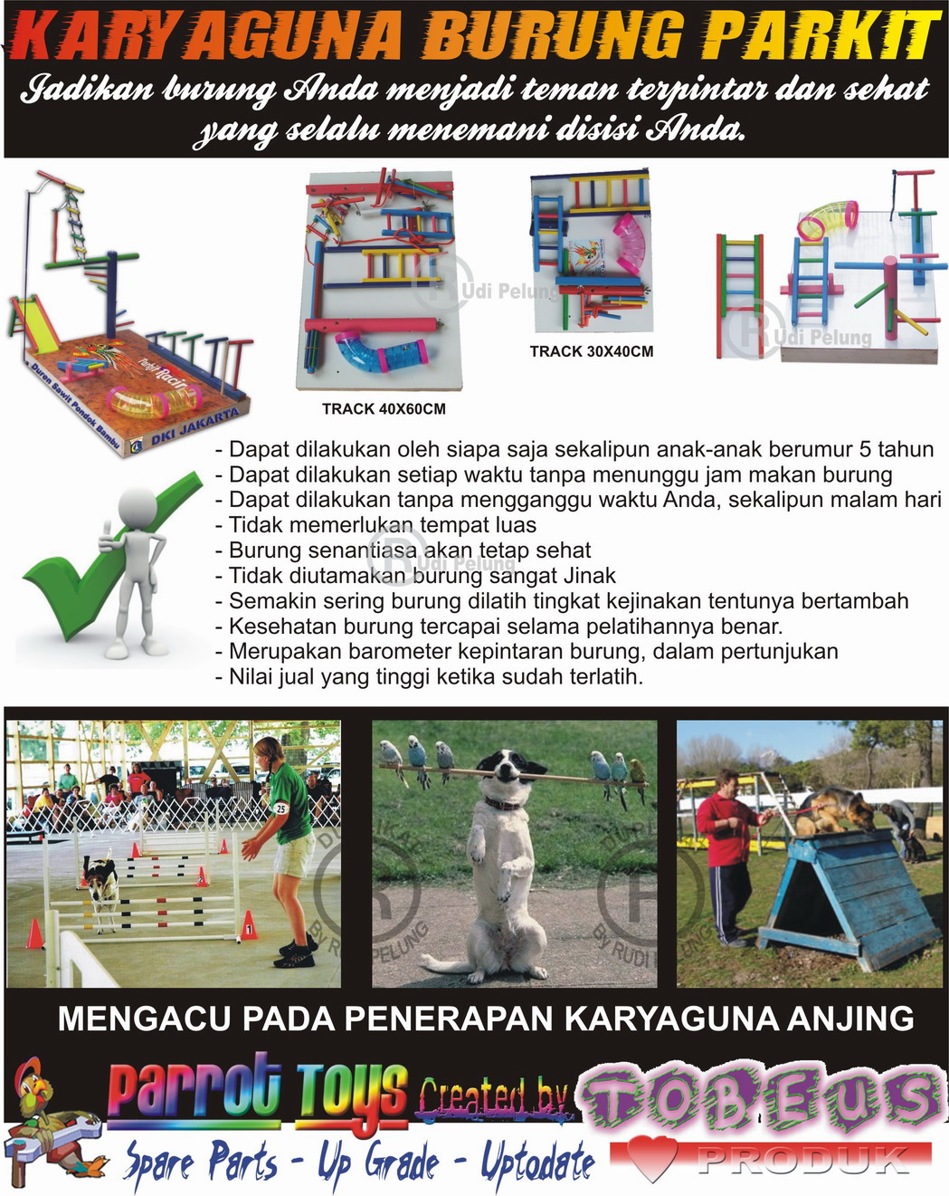 toys mainan burung paruh bengkok informasi parrot toys mainan burung paruh bengkok informasi parrot