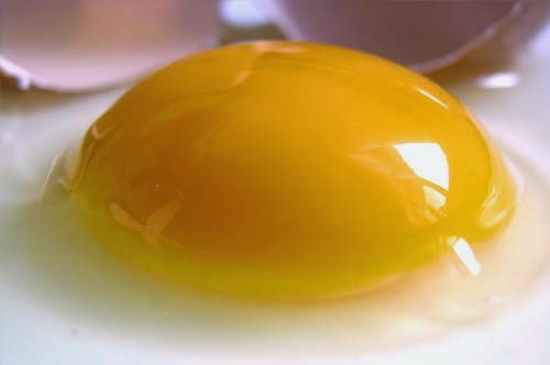 ثقافة وعلوم مكونات البيض والقيمة الغذائية للبيض وفوائده للشعر معلومات هامة عن البيض