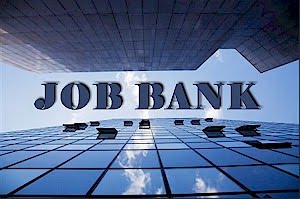 Jobs vacancy bank Indonesia & Internasional
