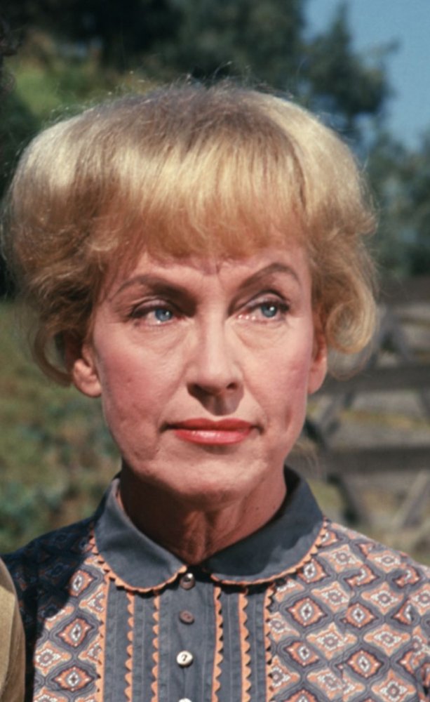 Virginia Gregg (6 March 1916, Harrisburg, Illinois, USA) movies list