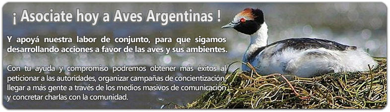 Aves argentinas