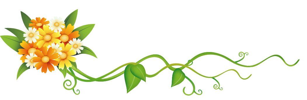 Весенняя линия. Орнамент из растений в полосе. Прозрачный фон. Цветы на прозрачном фоне. Орнамент из растений.