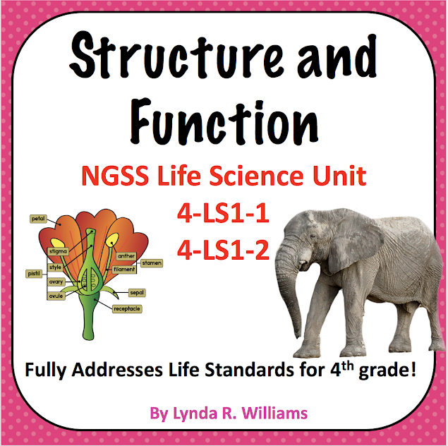 structure and function fourth grade