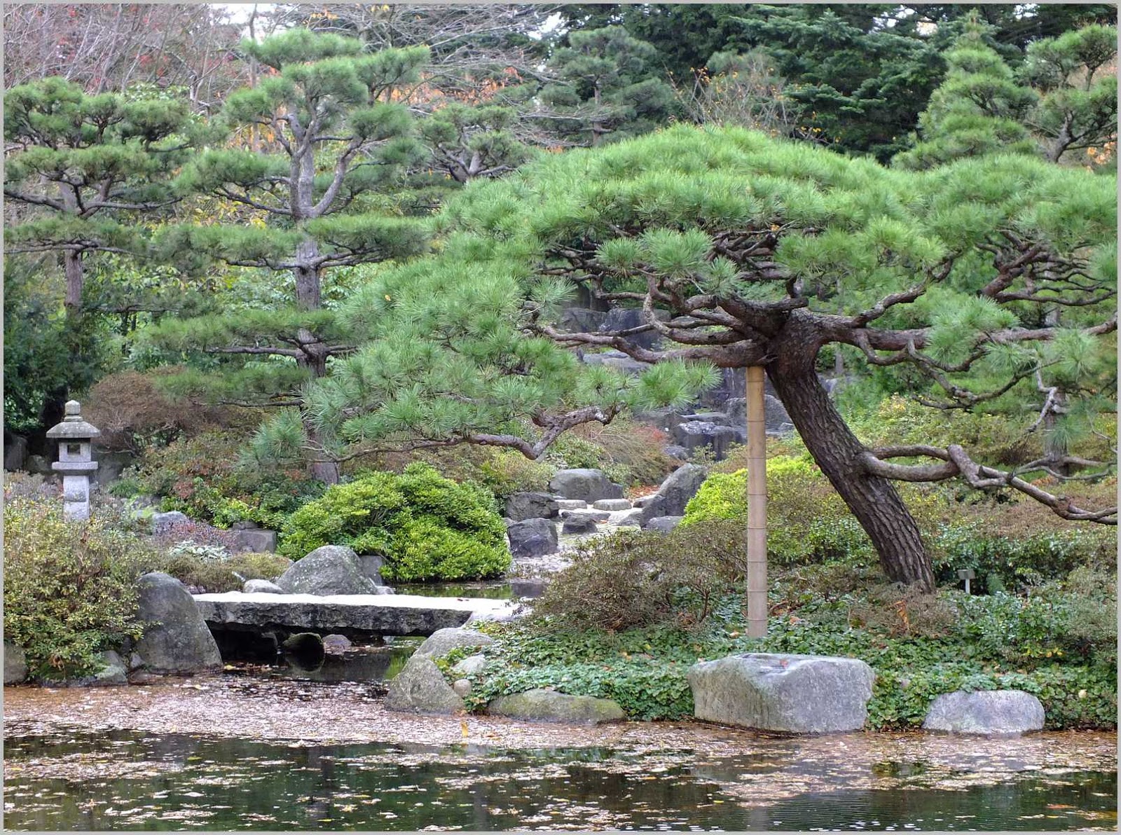 Botanischer Garten Hamburg im November 2013