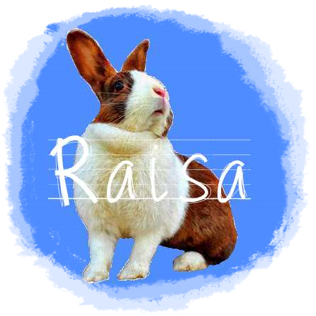http://rabbitrubbish.blogspot.fi/p/raisa.html