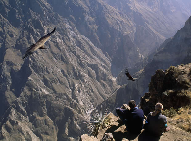 cañon-colca.jpg