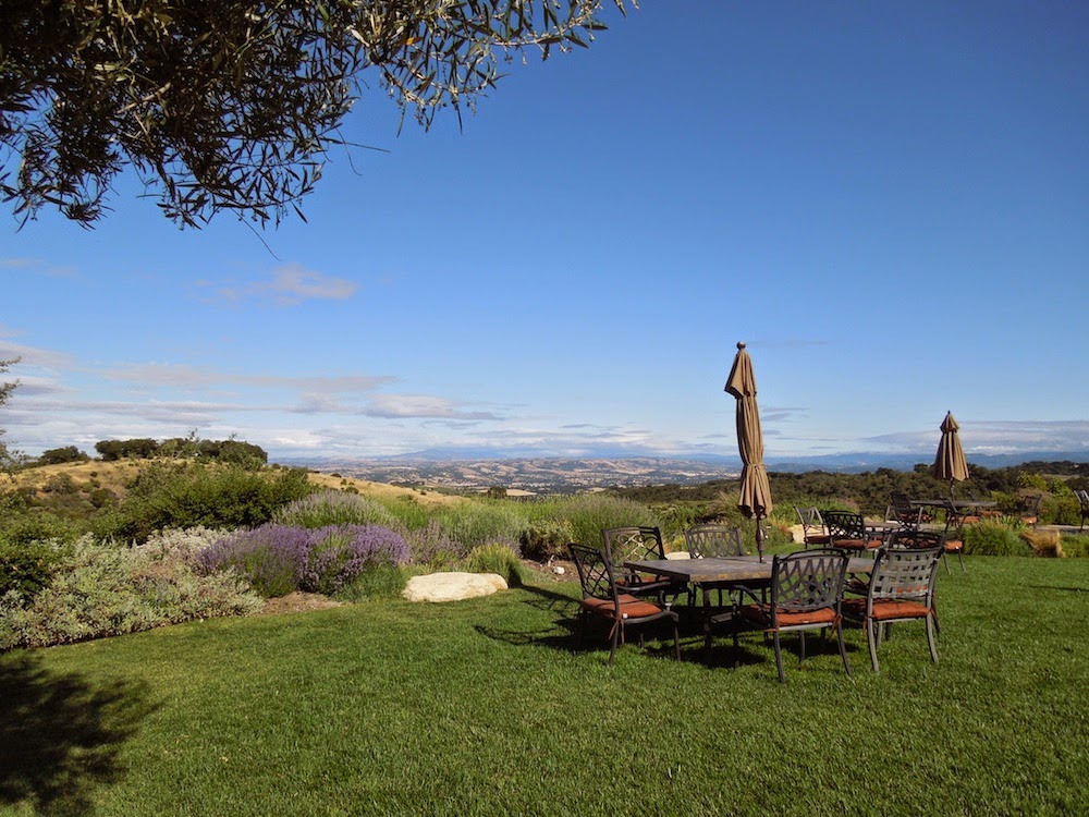 Paso Robles in Photos A Hilltop View Of Paso Robles from Wine Country