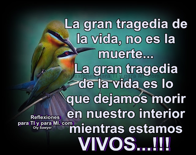 La gran tragedia de la vida, no es la muerte. La gran tragedia de la vida es lo que dejamos morir en nuestro interior mientras estamos VIVOS...!!!