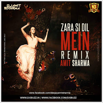 Zara Si Dil Mein – Amit Sharma Remix