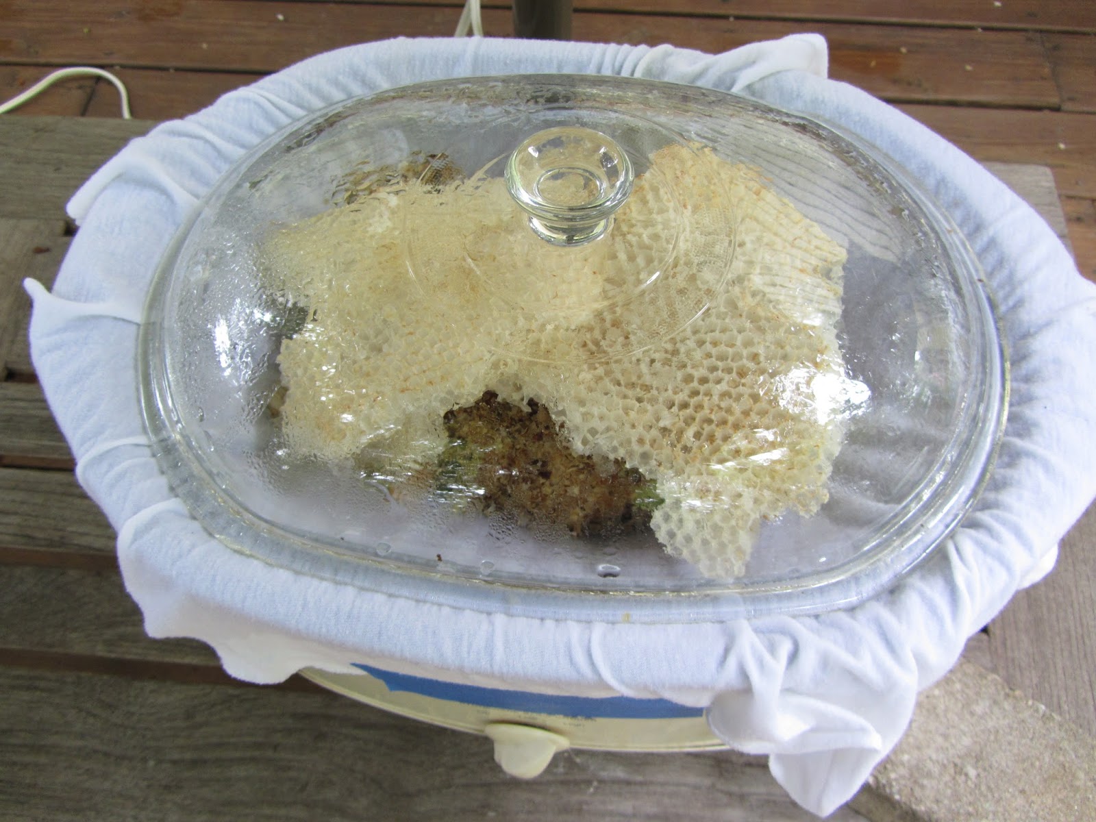 bee surprised clean wax with slow cooker