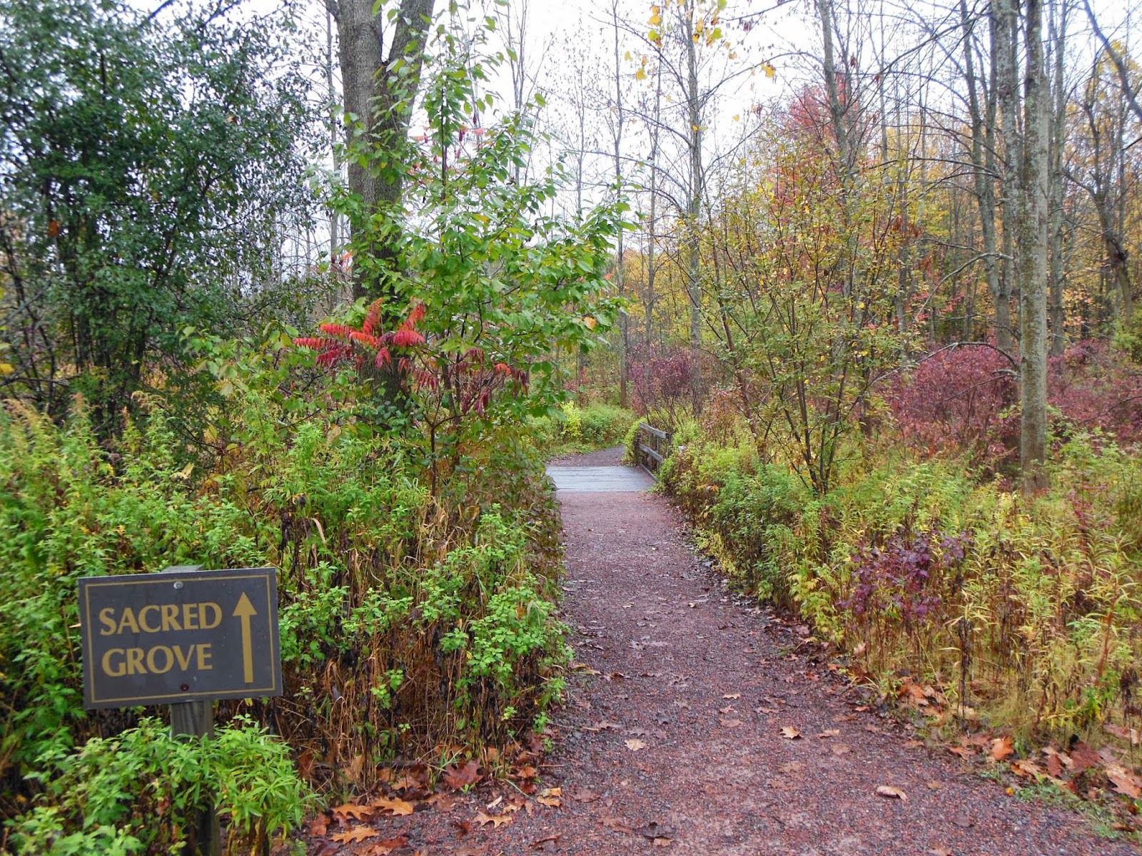 Arboleda Sagrada La Arboleda Sagrada Iglesia Sud Ruta Del Bosque