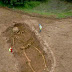 Arqueólogos encontram esqueleto gigante.