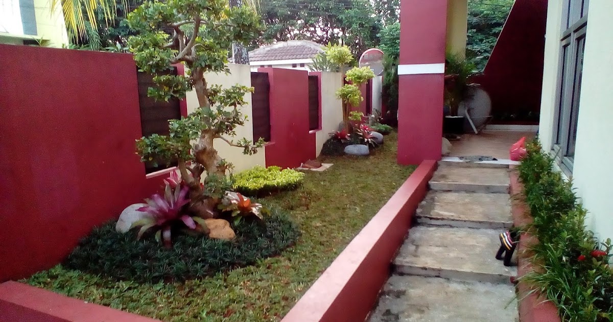 Jual Tanaman Jias Murah Tukang Taman Profesional