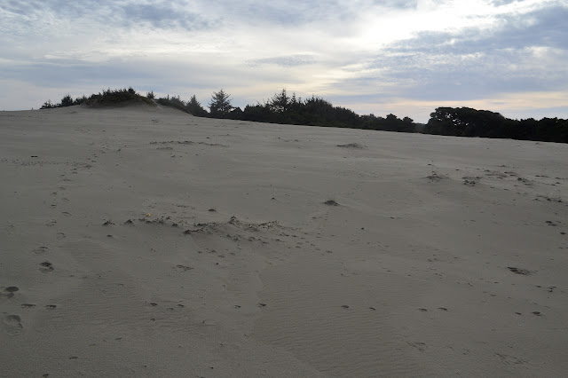 nearly blank sand