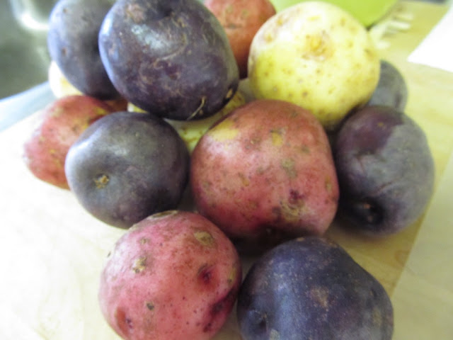 Red, White and Blue Potatoes for Potato Salad