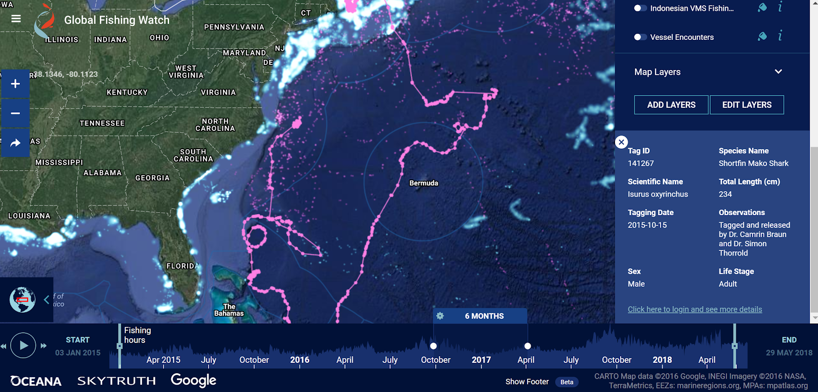 Free Technology For Teachers An Animated Shark Tracking Map How
