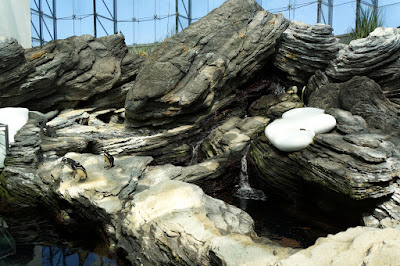 Oceanario-Parques das Naçoes-Lisbonne-Portugal