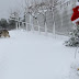 Χιόνι σε όλη τη χώρα και στην Αθήνα: Ποιοι δρόμοι έκλεισαν, πού χρειάζονται αλυσίδες 