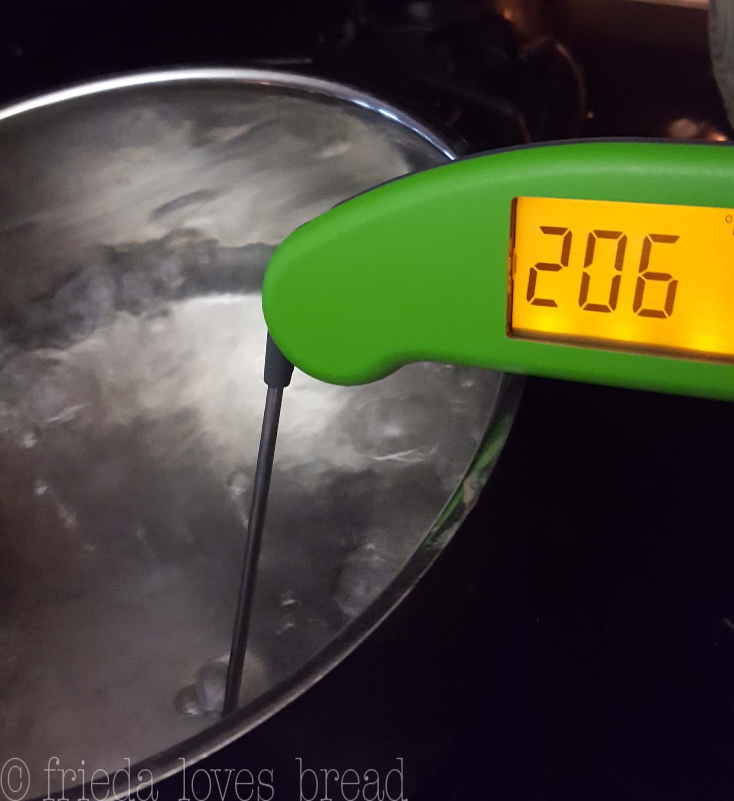 Frieda Loves Bread Thermapen Digital Food Thermometer A Cool Kitchen