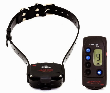 Top Shock Collars for Large Dogs with Remote | Dog Training Collars