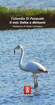 http://www.faraeditore.it/html/filoversi/mioDelta.html
