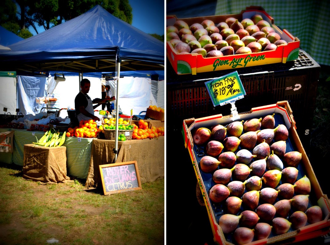 The Adventures of Miss Piggy Castle Hill Farmers Market, Castle Hill