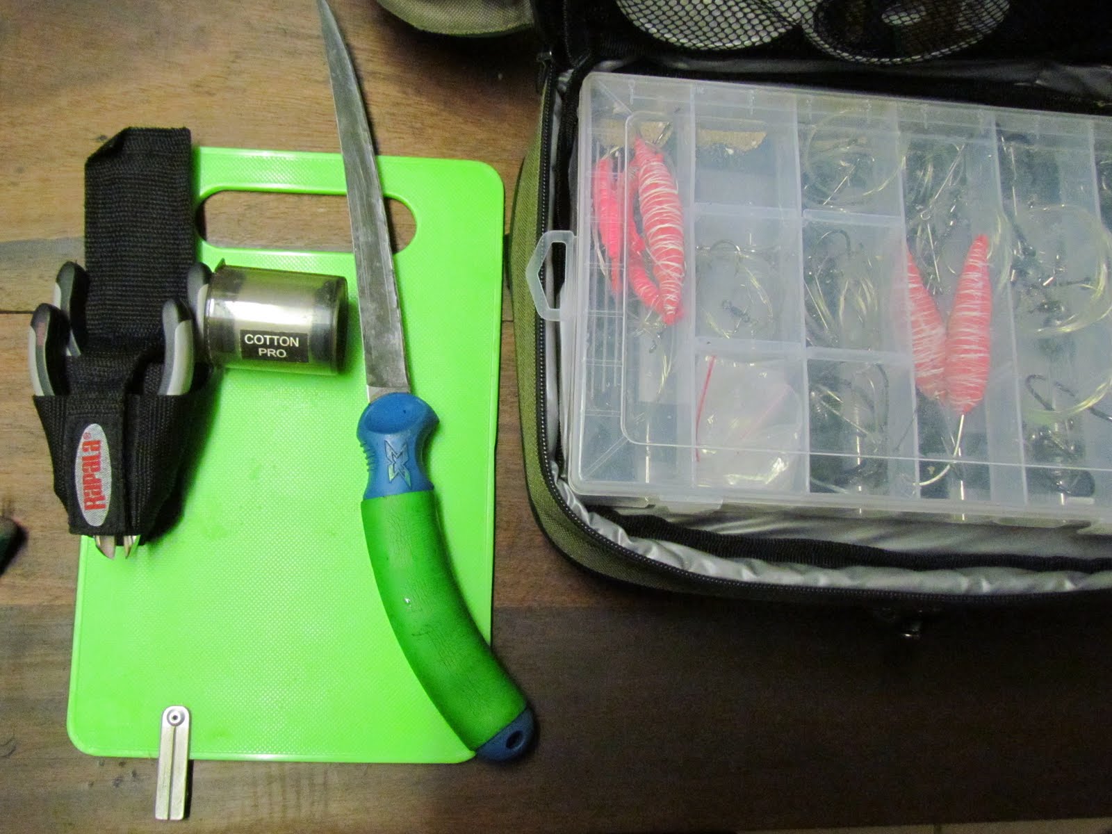 Angling Combination of chokka and sardine for kob bait