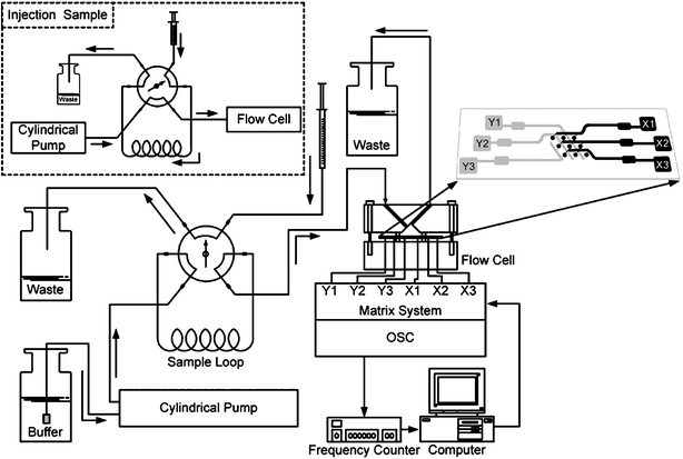 Fuel Injection System ~ AuTo ExclusivE