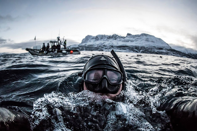 Nage avec les orques de Norvège en eau glacée