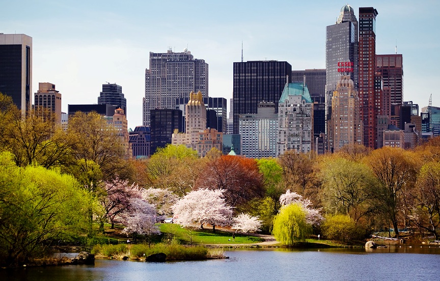Central Park Hot Dogs Central Park Hot Dogs